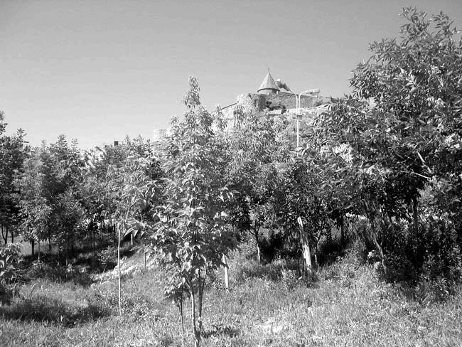 In five years, the Armenia Tree Project managed to transform the desert-like surroundings of the ancient monastery of Khor Virap near Mt. Ararat in 2001 into one that is teeming with life in 2006.