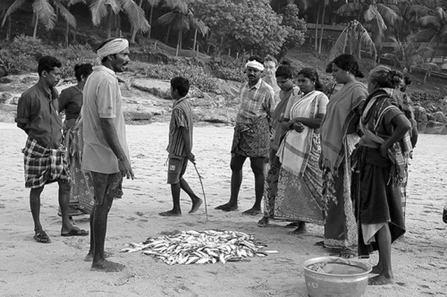 Fisherfolk at Kerala gather along the beach as the prices for the fresh catch are negotiated.
